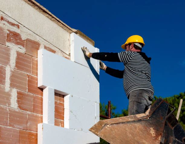 Best Specialized Insulation Services in Plano, IL