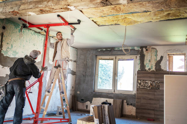 Best Blown-in Insulation in Plano, IL